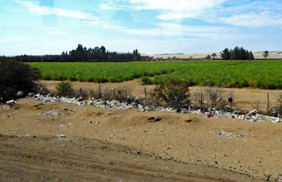 As you drive north from Paracas, Peru, there is more agriculture