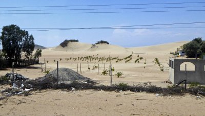 Farming in the Atacama Desert, Peru