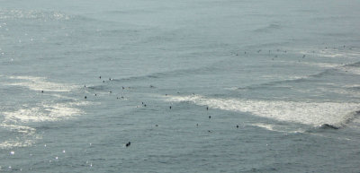 Surfers in the Pacific Ocean look like Ants from Love Park in Lima