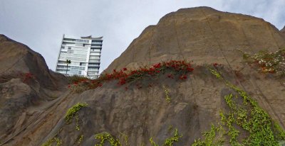 Highrise above Baranco Cliffs in Lima, Peru