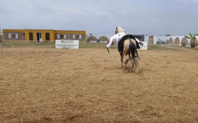 El Picador demonstration