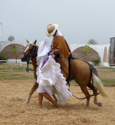 Peruvian Folk Dancer barefoot with Paso Horse and Rider