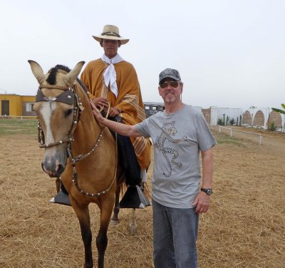 Paso Horses usually stand 57 to 62 inches tall