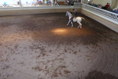Horse drawing Circles and Figure Eights at Rancho San Miguel, Costa Rica