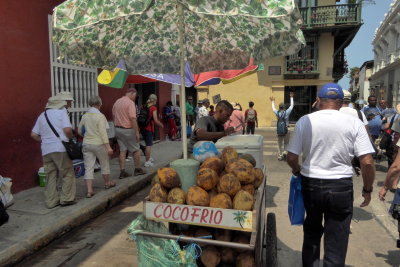 Cold Coconuts for sale in Cartagena, Colombia