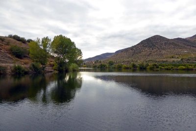 g10/60/645360/3/168593435.svvmP6XL.jpg