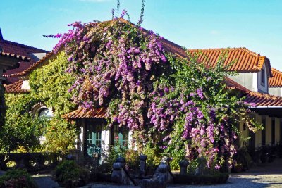 Quinta da Avelada has been producing wine since 1870