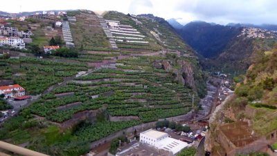 Farming on terraces on  Madeira Island, Portugal
