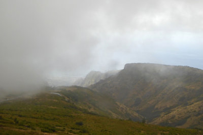 Foggy morning in the highlands of Madeira Island
