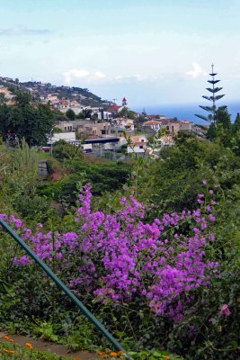 View from the Botanical Garden of Madeira