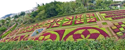 Plant Mosaic in the Botanical Garden of Madeira