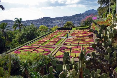 Another view of the plant  mosaic in the Botanical Garden of Madeira