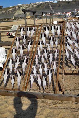 Fish drying in the sun at Nazare, Portugal