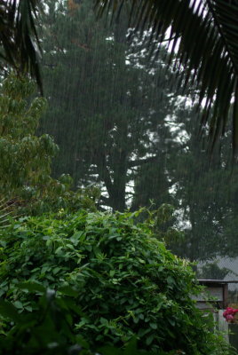 Autumn storm cloud.jpg