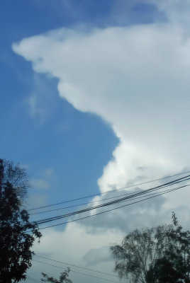 Autumn storm cloud.jpg