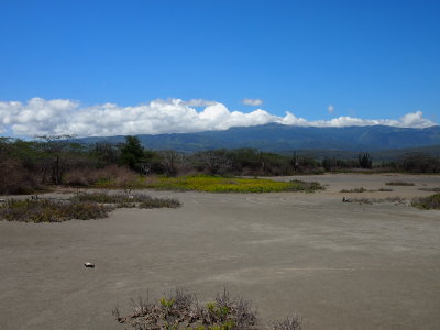 Cerca De La Desembocadura Del Rio Yaque Del Sur En Barahona, Rep. Dom.