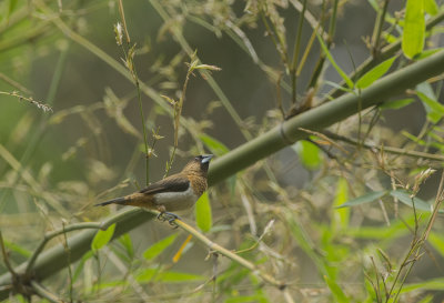 g10/60/809460/3/165365751.QbiRD8uH.jpg