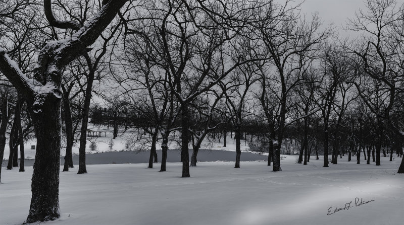 Walnut Grove Park in Omaha Ne is always a favorite place for me to photograph when it a gray day out. Here is Walnut Grove in the winter just after our first snow storm of the year. Lots of open space between the trees, a pond, picnic tables and benches and a creek running through the park. There were a few people there, exercising their pets and the city crew plowing the road but for the most part it was just an empty beautiful space.

An image may be purchased at http://edward-peterson.pixels.com/featured/walnut-grove-in-winter-edward-peterson.html?newartwork=true