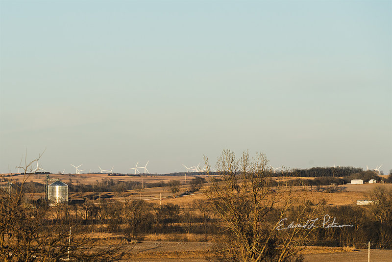 The crops have been harvested and the trees are bare which allows for great viewing of the countryside. With the view being so open during the winter it appears the Iowa's winter crop is wind turbines. They are there in the summer also, but they just don't stand out as much.

An image may be purchased at http://edward-peterson.pixels.com/featured/iowa-winter-crop-edward-peterson.html?newartwork=true