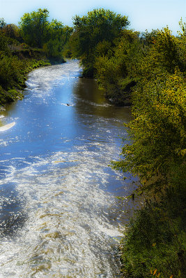 Fall brings out all the intense colors. In another week this will be a golden yellow and a week after that it will be bear. Then the wait for spring.

An image may be purchased at http://edward-peterson.pixels.com/featured/iowa-river-flows-edward-peterson.html