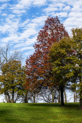 A cold November day and there are still some colorful leaves on the trees at Standing Bear Lake. The grass is green, the sky is blue and the clouds are white.

An image may be purchased at http://edward-peterson.pixels.com/featured/autumn-at-standing-bear-lake-edward-peterson.html?newartwork=true