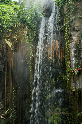 Took a trip to the Omaha, NE. Henry Doorly Zoo. After hacking through the Congo I discovered this waterfall. This zoo is really a great place to visit.

An image may be purchased at http://edward-peterson.pixels.com/featured/henry-doorly-waterfall-edward-peterson.html