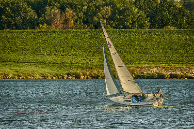 Saturday afternoon in the fall. The sun is bright and the day is just warm. It is a day to be out but what to do. Some have gone to their college football game. Many other took advantage of the weather and had family picnics. Many were out taking family or senior photos in the late afternoon sunlight. But for some it was an autumn sailing type of afternoon.

An image may be purchased at http://edward-peterson.pixels.com/featured/autumn-sailing-edward-peterson.html?newartwork=true