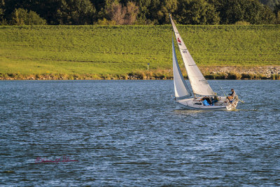 A sunny and warm fall afternoon is a perfect time to go sailing.

An image may be purchased at http://edward-peterson.pixels.com/featured/fall-sunday-sail-edward-peterson.html