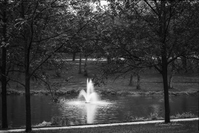 The sun hasn't been out for three days. Just a gentle misting with occasional rain for these three days. When the days get like this, there is one place I head to to get some black and white images. It is a rainy fall Monday so off I go.

An image may be purchased at http://edward-peterson.pixels.com/featured/rainy-fall-monday-edward-peterson.html?newartwork=true