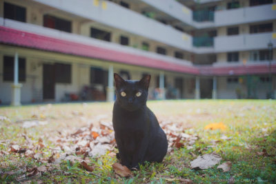 DSC07120.jpeg
