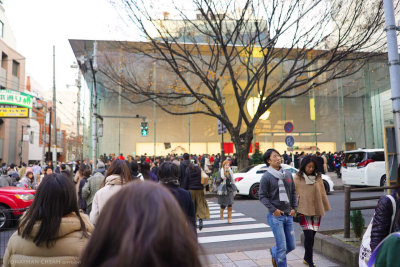DSC09539-1.jpeg