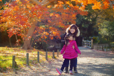 Hamarikyu 2017