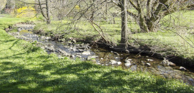 moms_photos_041818