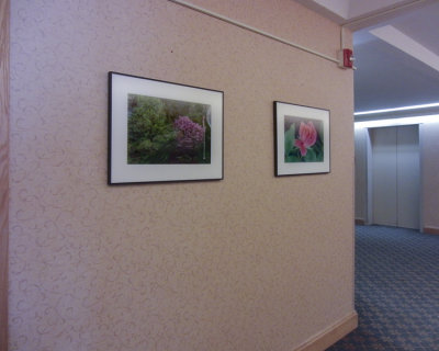 moms_photos_021418