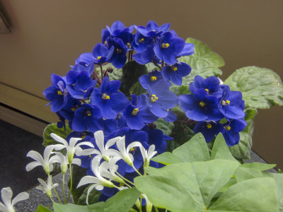 g10/60/885260/3/167524871.HsIYrDWa.jpg