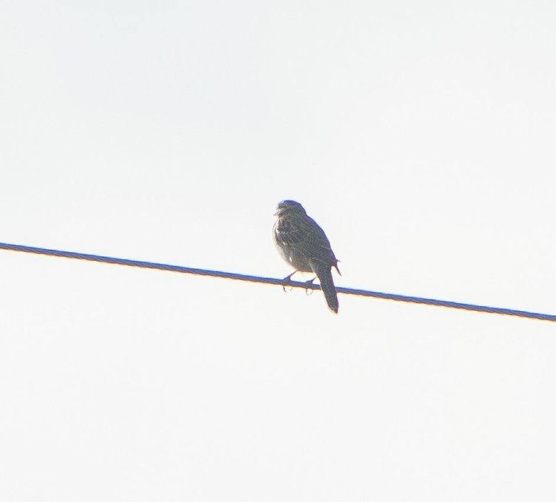 180617n0107.jpg