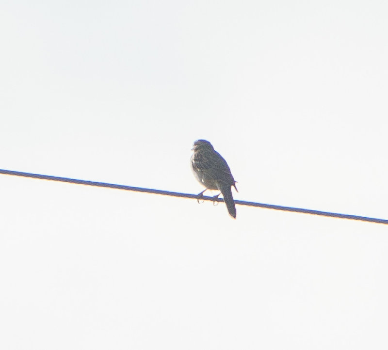 180617n0107.jpg