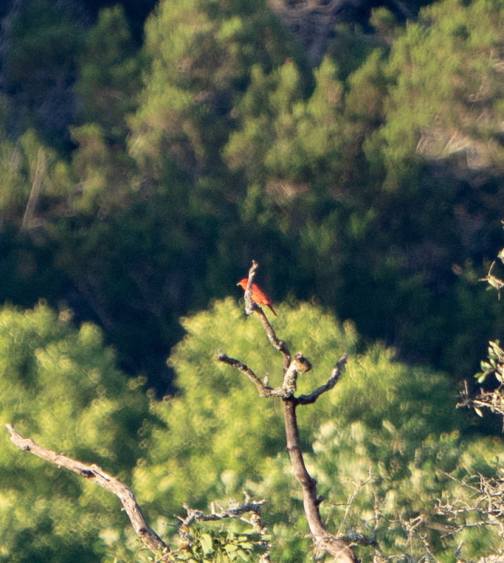 180617n0066.jpg
