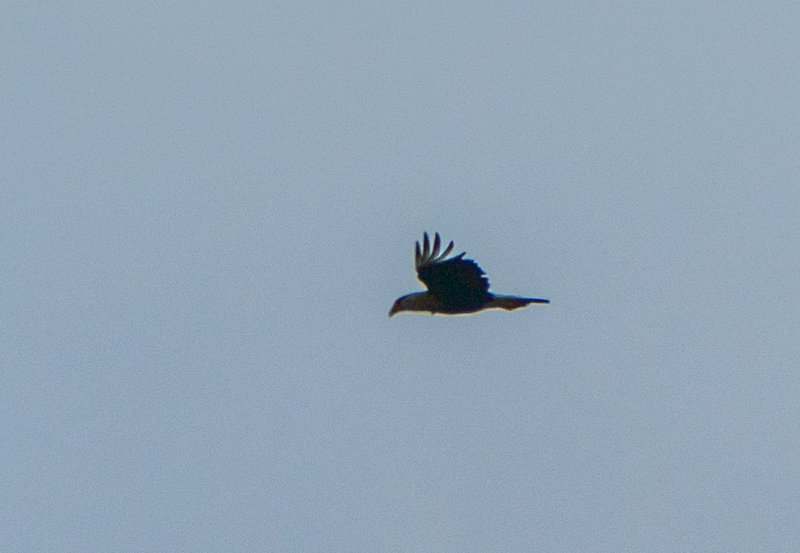 180617n0261.jpg