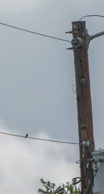 180617n0305.jpg