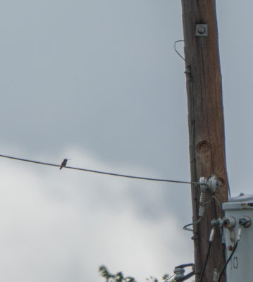 180617n0307.jpg
