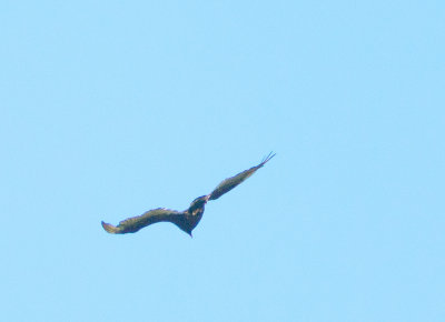 180617n0244.jpg