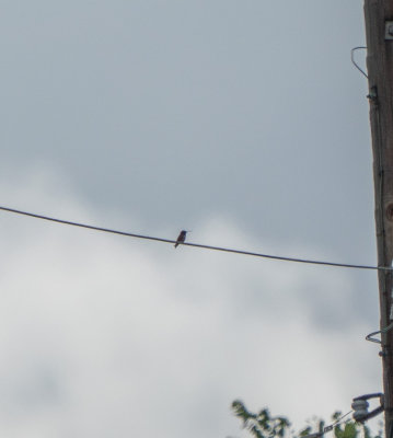 180617n0306.jpg