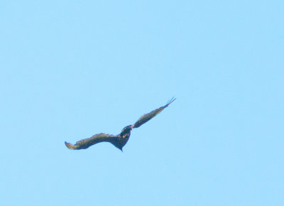 180617n0244.jpg