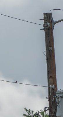 180617n0305.jpg