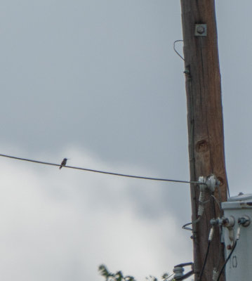 180617n0307.jpg