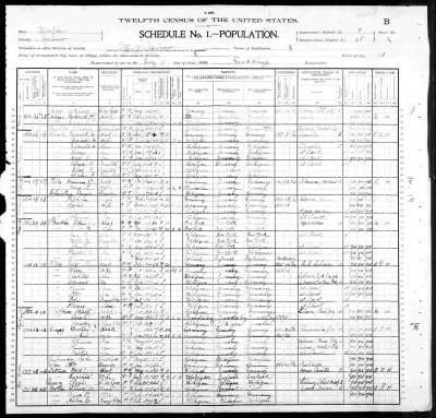 1900 Census Martin Kempf (edited).jpg