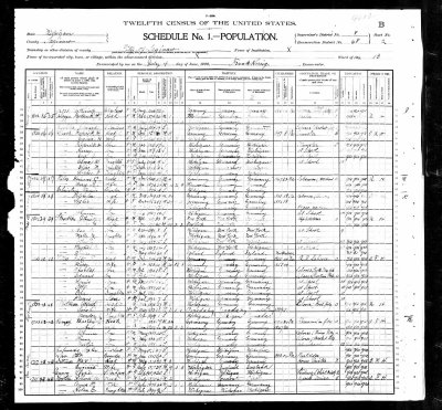1900 Census Sophia Schweinshaupt.jpg