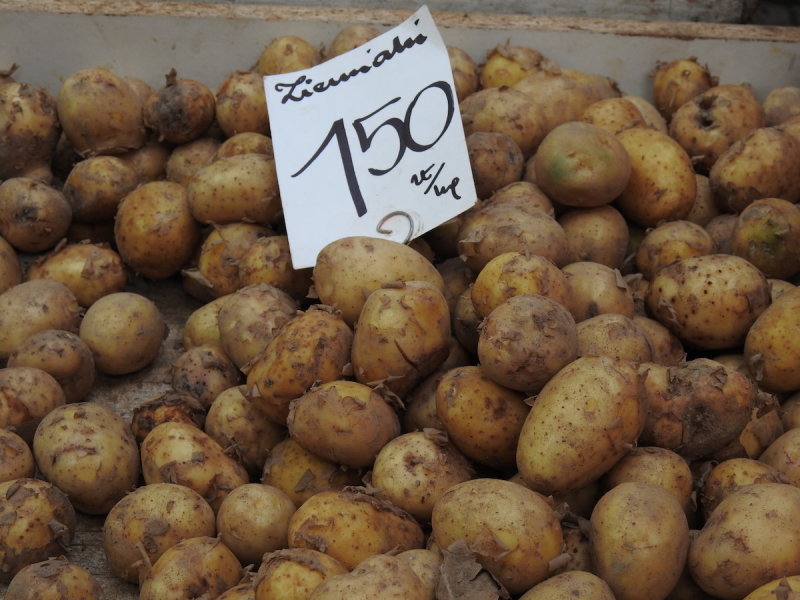 DSCN1927.JPG
