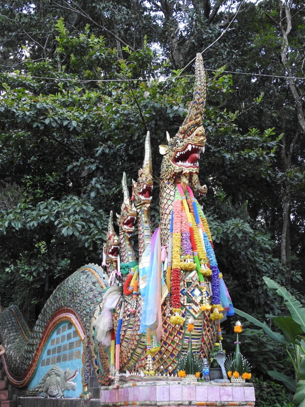 DSCN4302.JPG